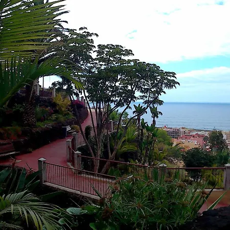 Lejlighed Estudio Brillante, Confortable Y Agradable Puerto de la Cruz (Tenerife)