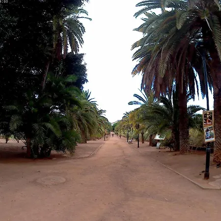 Estudio Brillante, Confortable Y Agradable * プエルト・デ・ラ・クルス