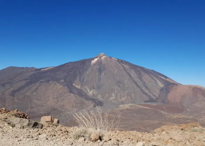 Estudio Brillante, Confortable Y Agradable プエルト・デ・ラ・クルス