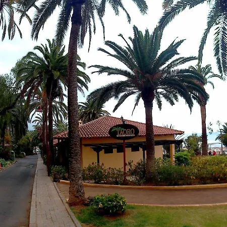 Apartment Estudio Brillante, Confortable Y Agradable Puerto de la Cruz (Tenerife)