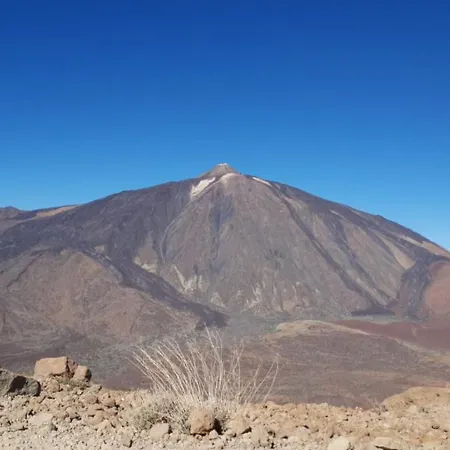 Estudio Brillante, Confortable Y Agradable Puerto de la Cruz (Tenerife)