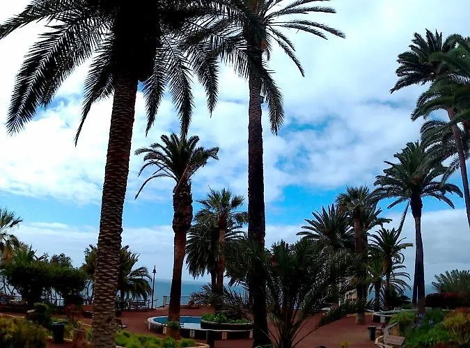 Estudio Brillante, Confortable Y Agradable Puerto de la Cruz