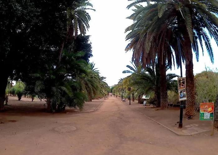 Estudio Brillante, Confortable Y Agradable * Puerto de la Cruz (Tenerife)